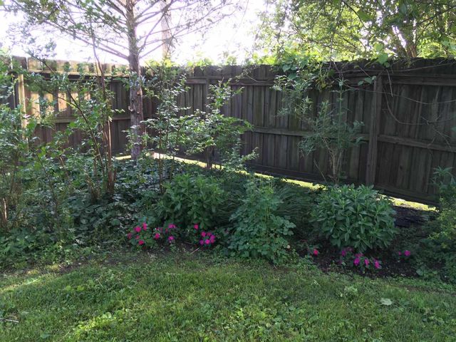 204 S 17th Street, Murphysboro, IL 62966