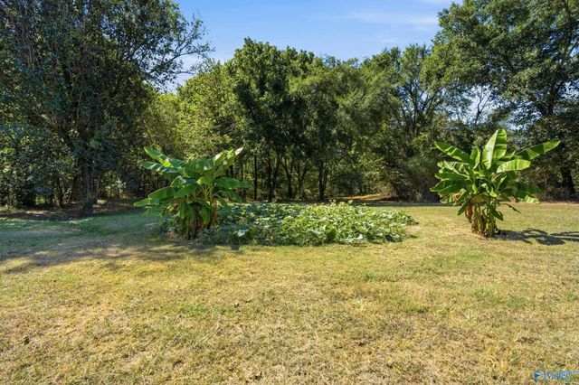 24621 Wagon Trail, Athens, AL 35613