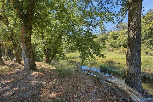 24621 Wagon Trail, Athens, AL 35613