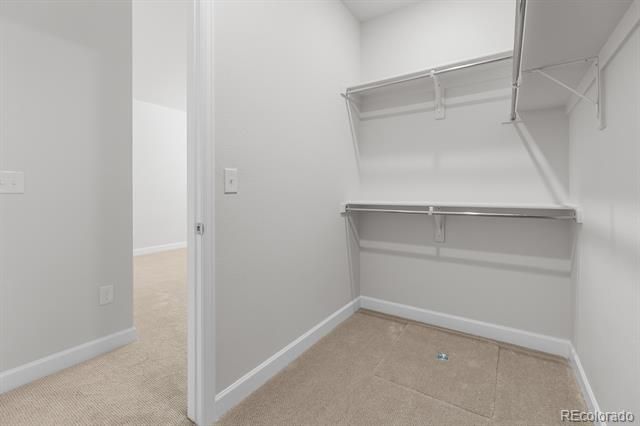 2345 Drummle Drive, Castle Rock, CO 80104