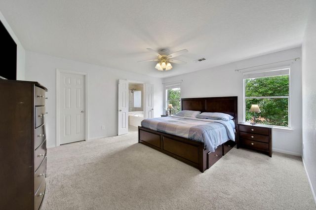 18 Orchid Grove Place, The Woodlands, TX 77385