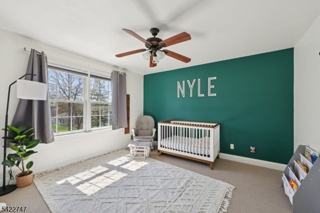 420 William St, Somerville Boro, NJ 08876