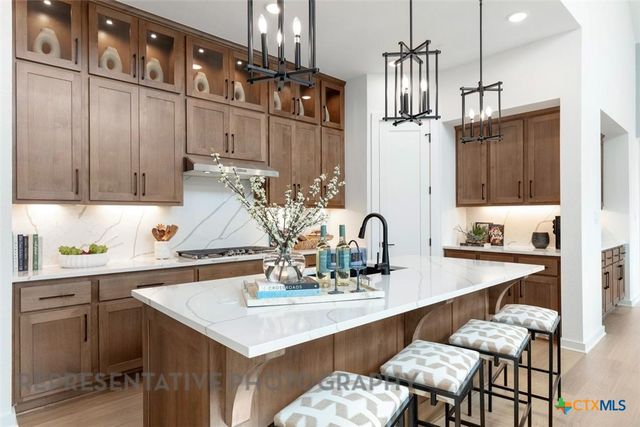 244 Basket Flower Loop, Kyle, TX 78640