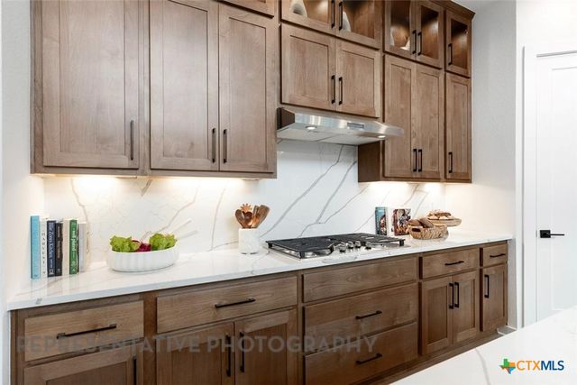 244 Basket Flower Loop, Kyle, TX 78640