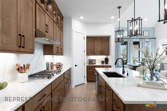 244 Basket Flower Loop, Kyle, TX 78640