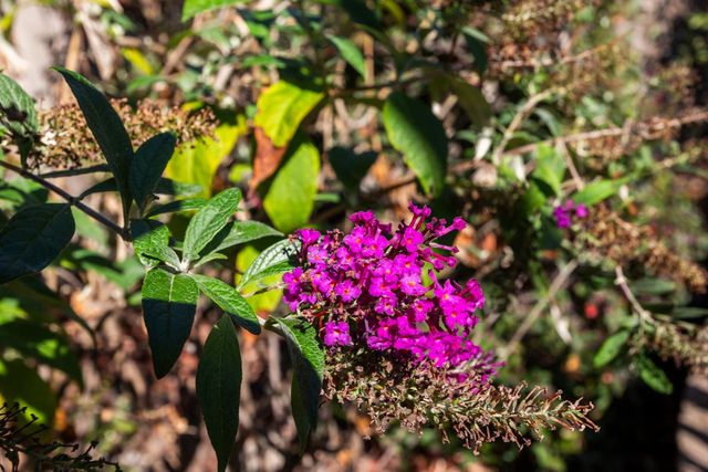 3451 Rainhill Loop, Roseville, CA 95747