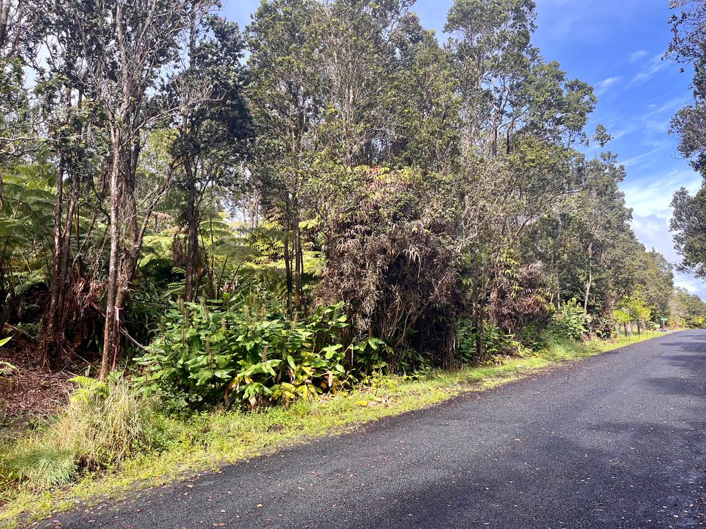 Image 1 of property listing at KEKOANUI ST, Volcano, HI 96785