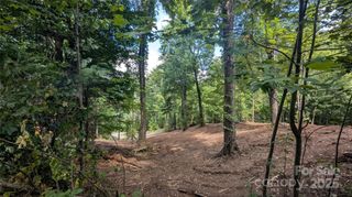 00 Chestnut Walk Drive 2, Waynesville, NC 28786