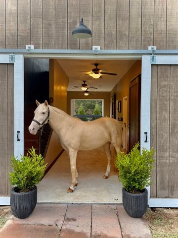 307 Fox Tail Court, Aiken, SC 29803