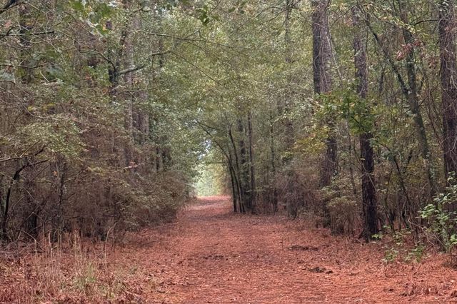 307 Fox Tail Court, Aiken, SC 29803