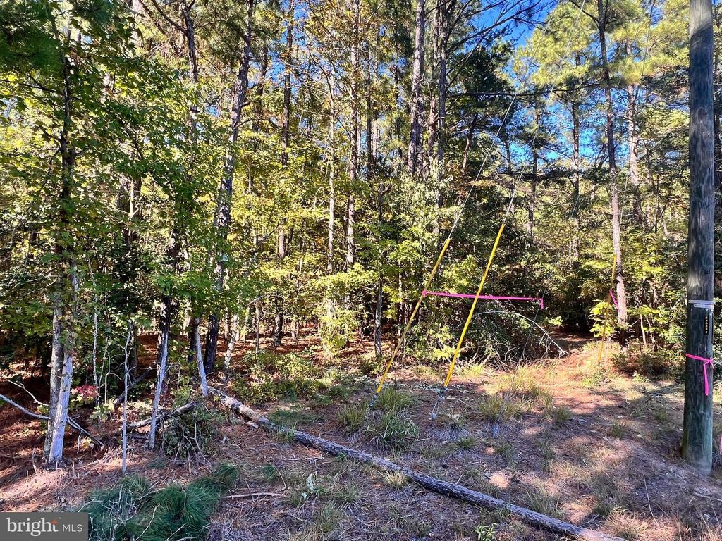 N GLEBE, Montross, VA 22520