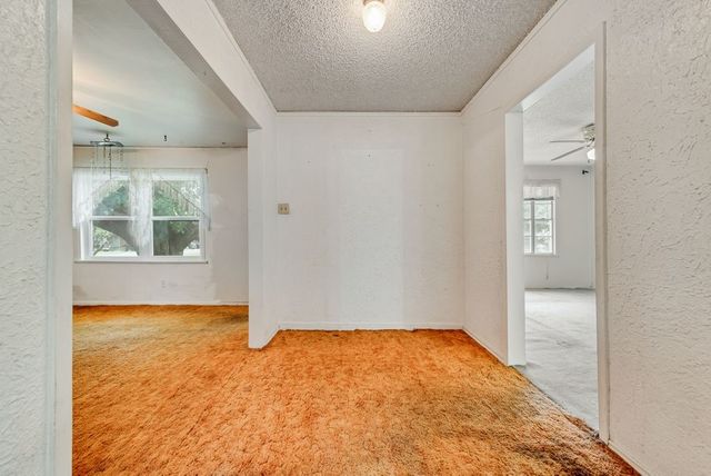 2219 Morgan Street, Irving, TX 75062