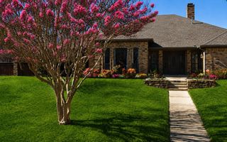 1511 Green Tree Lane, Duncanville, TX 75137