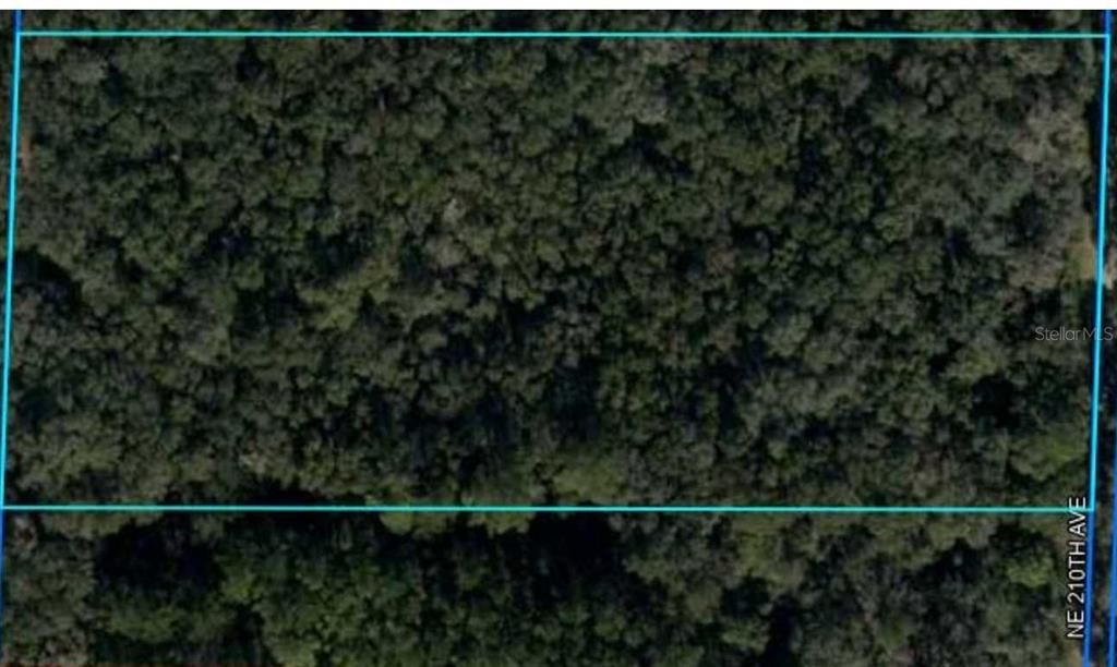 NE 210TH AVENUE, Williston, FL 32696