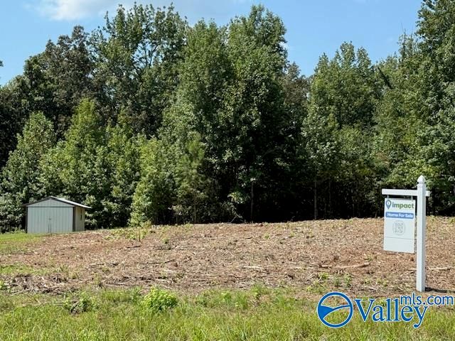 Tract 1 Flanagan Road, Athens, AL 35614