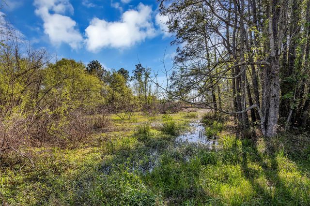 Lot 139 Ravenwood Drive, Porter, TX 77365