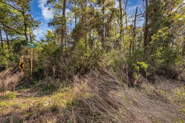 Lot 139 Ravenwood Drive, Porter, TX 77365