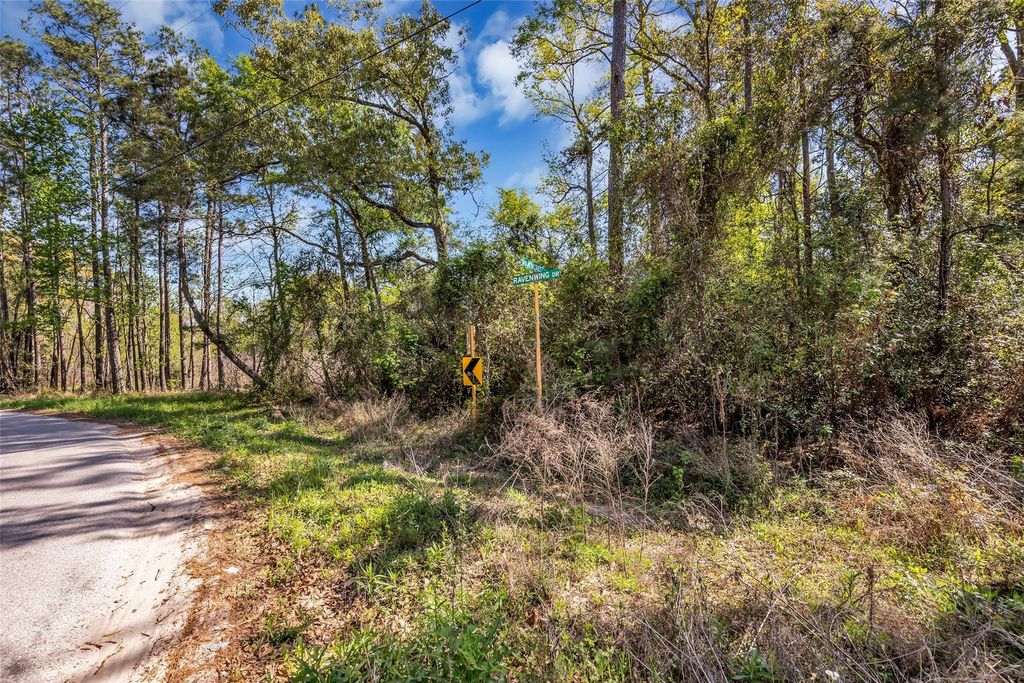 Lot 139 Ravenwood Drive, Porter, TX 77365
