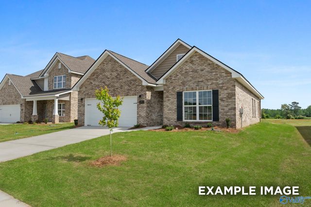 103 Drupelet Lane, Meridianville, AL 35759