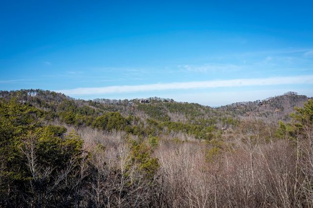 174 Chestnut Ridge Road, Blue Ridge, GA 30153