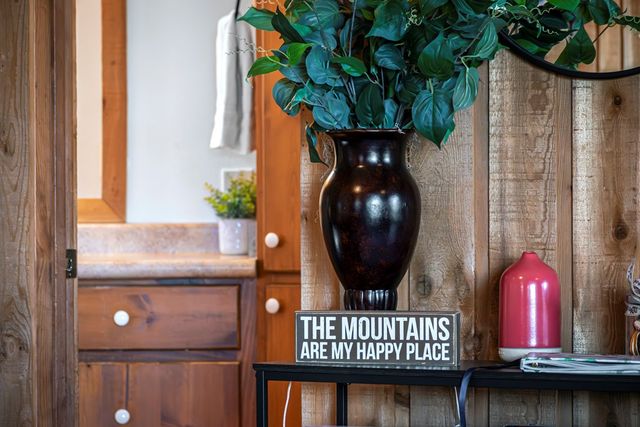 174 Chestnut Ridge Road, Blue Ridge, GA 30153