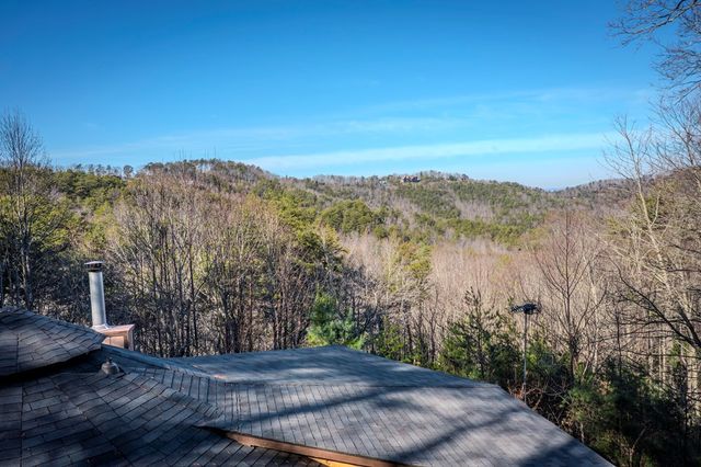 174 Chestnut Ridge Road, Blue Ridge, GA 30153