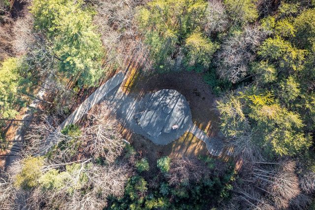 174 Chestnut Ridge Road, Blue Ridge, GA 30153