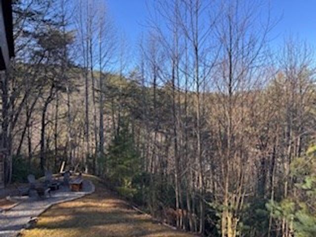 174 Chestnut Ridge Road, Blue Ridge, GA 30153