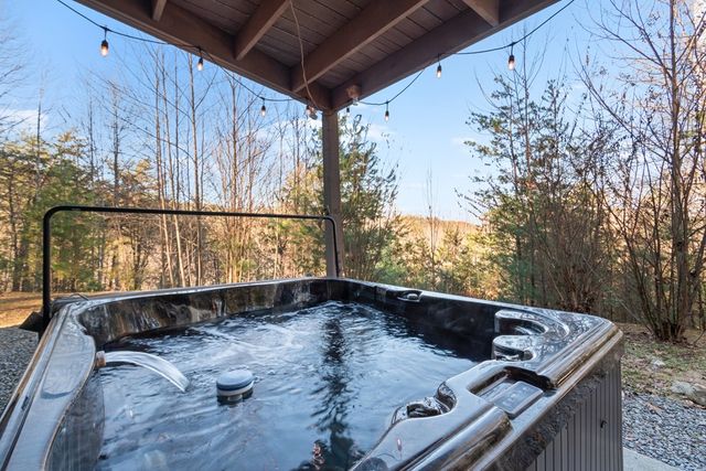 174 Chestnut Ridge Road, Blue Ridge, GA 30153