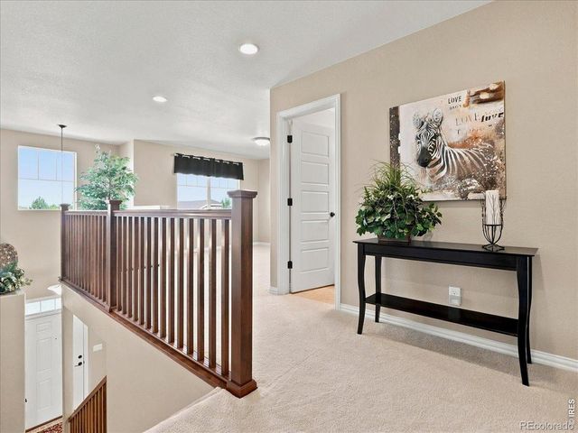 5843 Calgary Street, Timnath, CO 80547