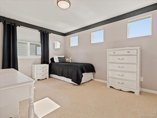 5843 Calgary Street, Timnath, CO 80547