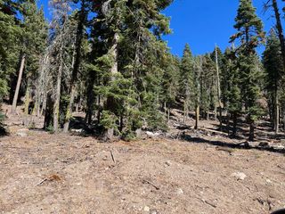 0000 Logging Road, Viola, CA 96088