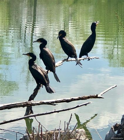 8901 W Yale Avenue, Lakewood, CO 80227