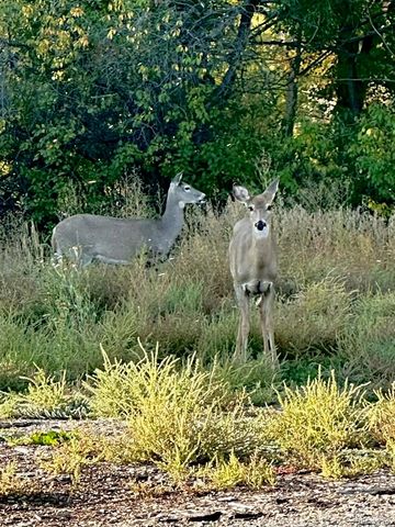 8901 W Yale Avenue, Lakewood, CO 80227