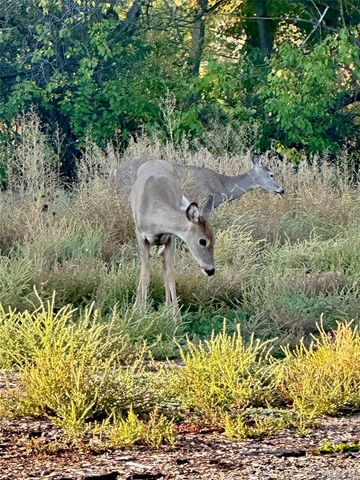 8901 W Yale Avenue, Lakewood, CO 80227