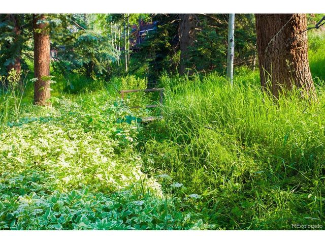 7361 Brook Forest Dr, Evergreen, CO 80439