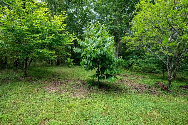 758 Old State Road, Menlo, GA 30731