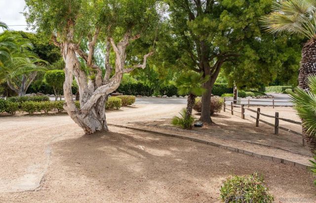 6358 Lago Lindo, Rancho Santa Fe, CA 92067