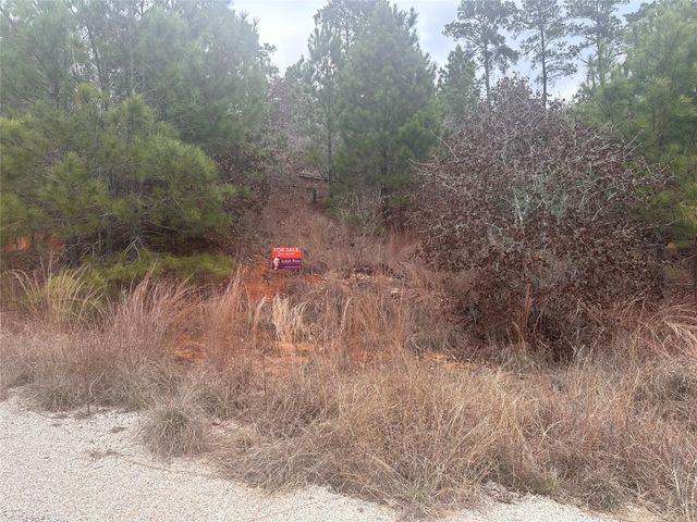 LOT 173 / R32210 Keo Kea CT, Bastrop, TX 78602