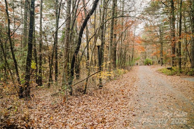 107 Sugar Mill Woods Drive, Zirconia, NC 28790