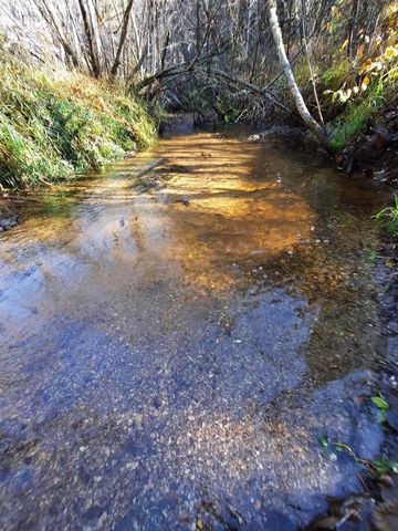 TBD E Antler Rd, Chattaroy, WA 99003