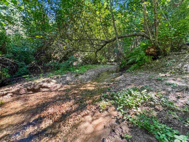 TBD E Antler Rd, Chattaroy, WA 99003