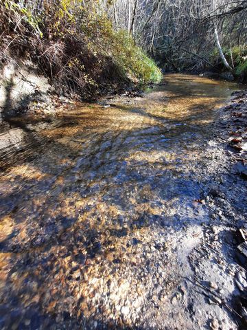 TBD E Antler Rd, Chattaroy, WA 99003