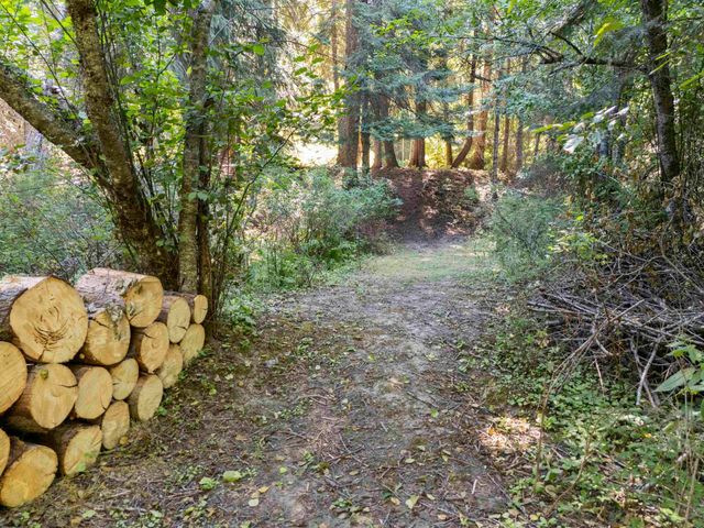 TBD E Antler Rd, Chattaroy, WA 99003