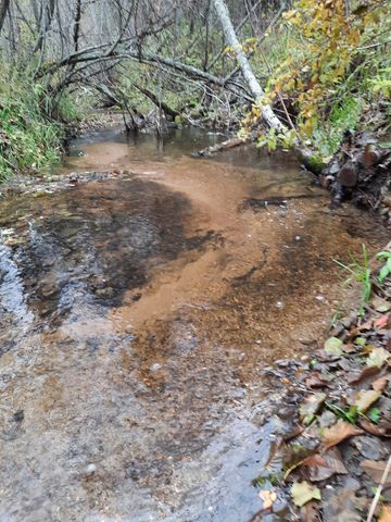 TBD E Antler Rd, Chattaroy, WA 99003