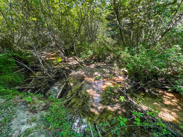 TBD E Antler Rd, Chattaroy, WA 99003