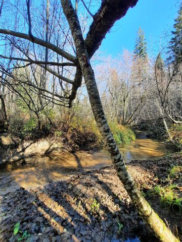 TBD E Antler Rd, Chattaroy, WA 99003