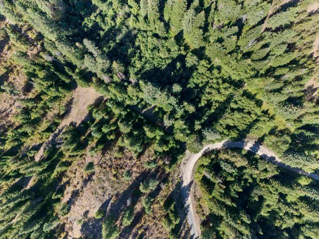 TBD E Antler Rd, Chattaroy, WA 99003