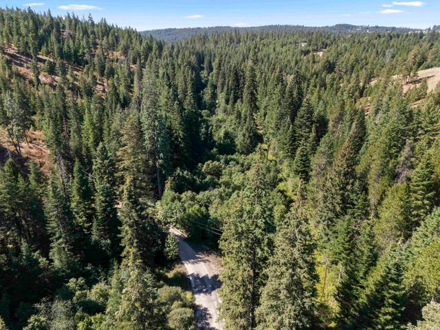 TBD E Antler Rd, Chattaroy, WA 99003