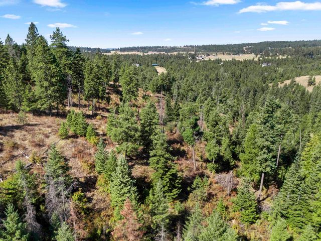 TBD E Antler Rd, Chattaroy, WA 99003